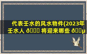 代表壬水的风水物件(2023年壬水人 🐋 将迎来哪些 🐵 好运)